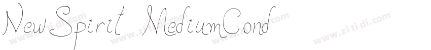 NewSpirit MediumCond字体转换